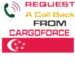 Cargo to Singapore from UK